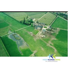 Luchtfoto Boerderij Peters Eltenseweg Coll. G.B. Janssen (356)